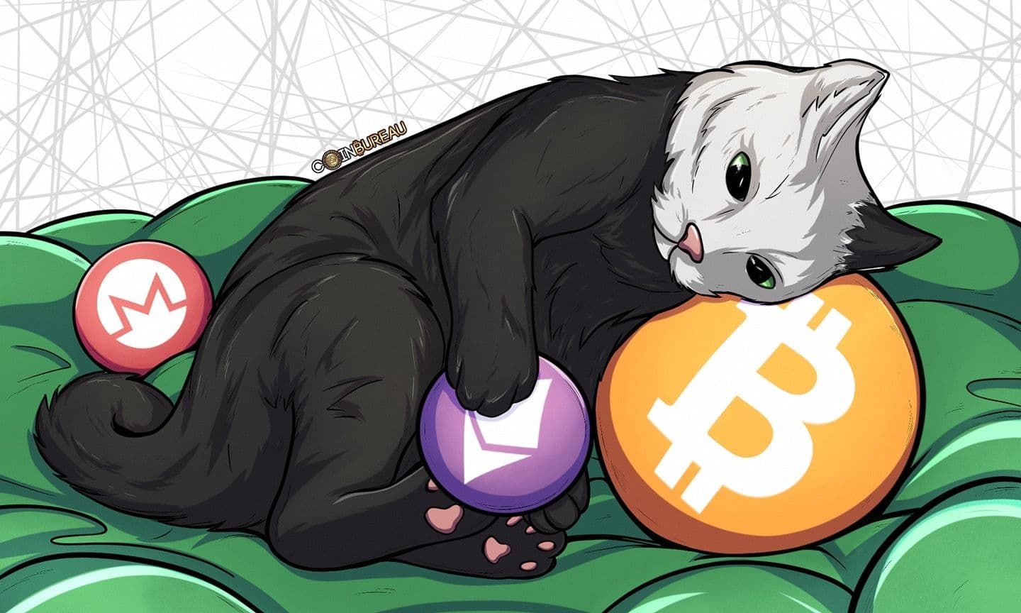 Bisq Review 2025: The MOST Decentralized Exchange?